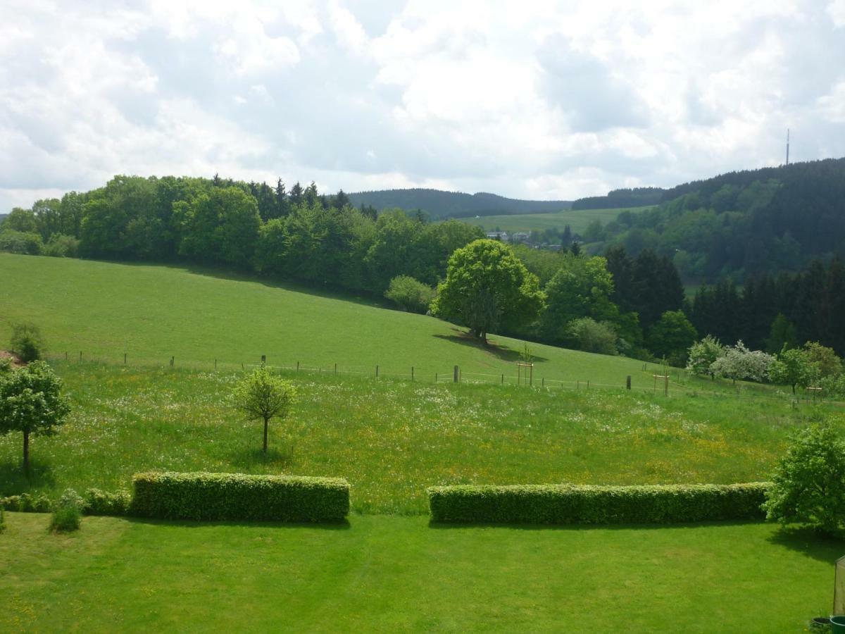 Villa Ferienhaus Gisela à Hellenthal Extérieur photo