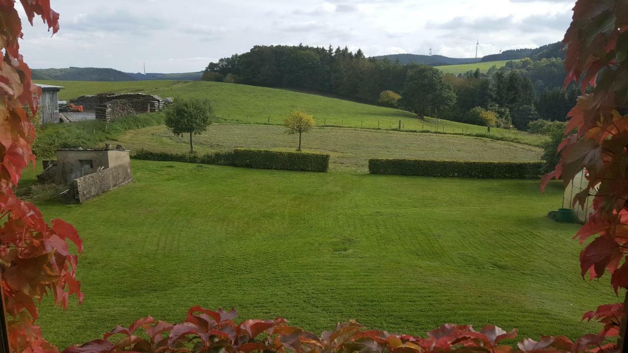 Villa Ferienhaus Gisela à Hellenthal Extérieur photo