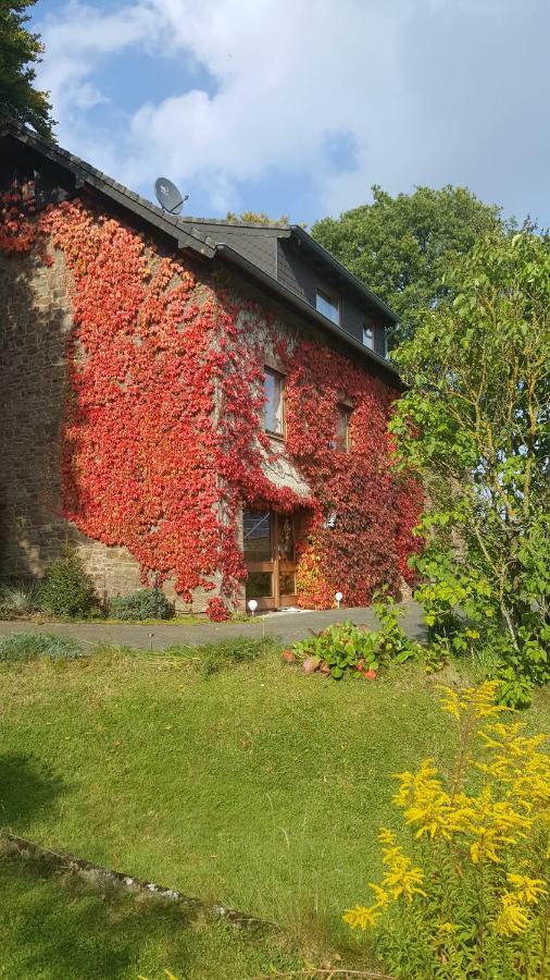 Villa Ferienhaus Gisela à Hellenthal Extérieur photo